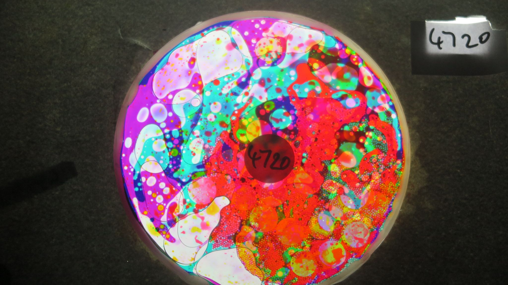 BV4720 bubble vision oil wheel